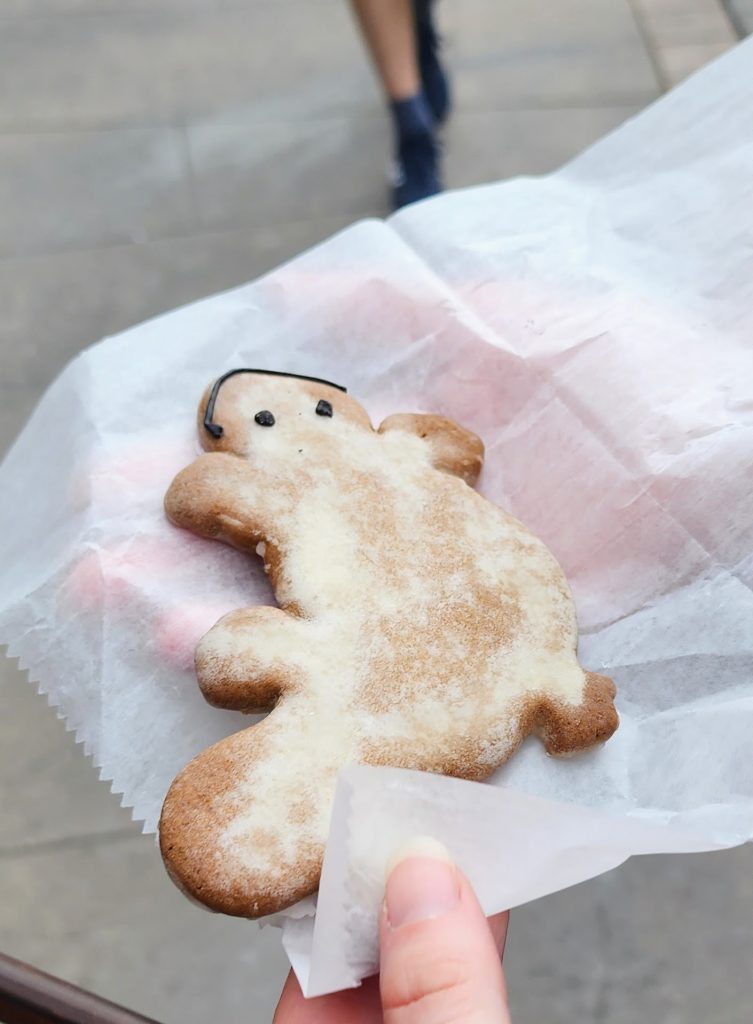 A gingerbread cookie shaped like a newt with a white icing on the entirety of the cookie and a dark icing smiling face.